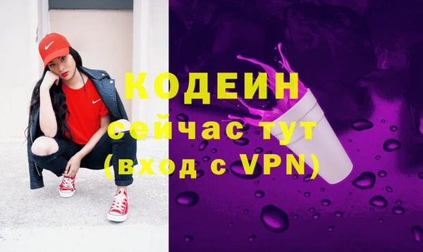 ешки Домодедово