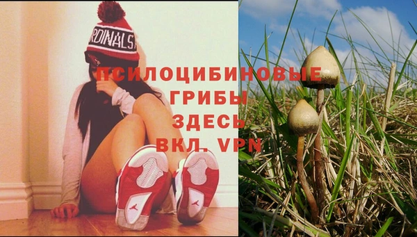 мяу мяу кристалл Лабытнанги