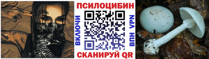Псилоцибиновые грибы мицелий  Тында 